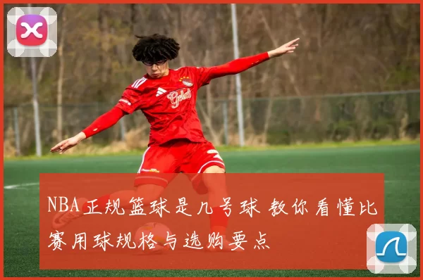 NBA正规篮球是几号球 教你看懂比赛用球规格与选购要点