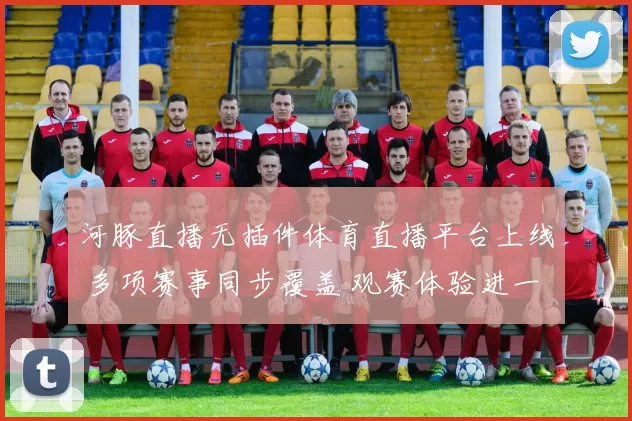 河豚直播无插件体育直播平台上线 多项赛事同步覆盖 观赛体验进一步提升