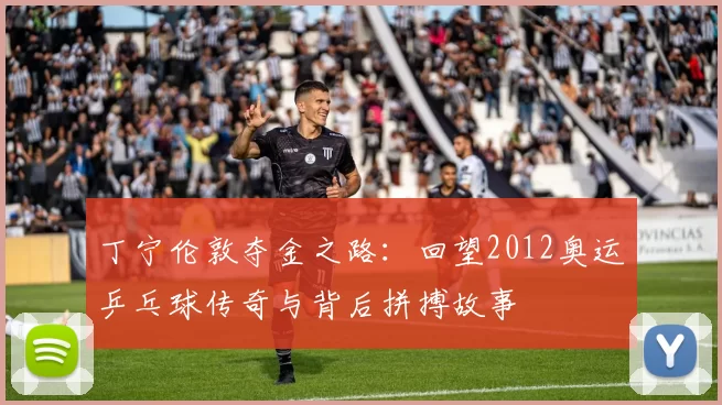 丁宁伦敦夺金之路：回望2012奥运乒乓球传奇与背后拼搏故事