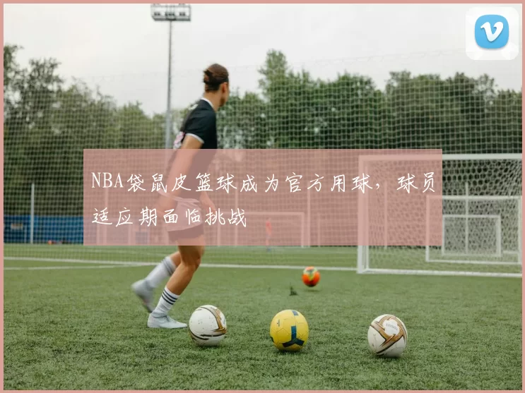 NBA袋鼠皮篮球成为官方用球,球员适应期面临挑战