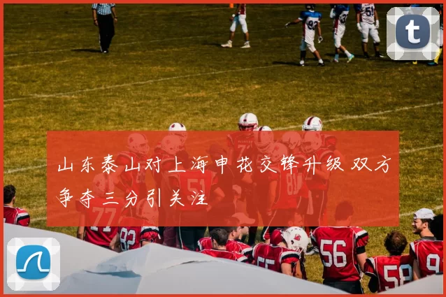 山东泰山对上海申花交锋升级 双方争夺三分引关注