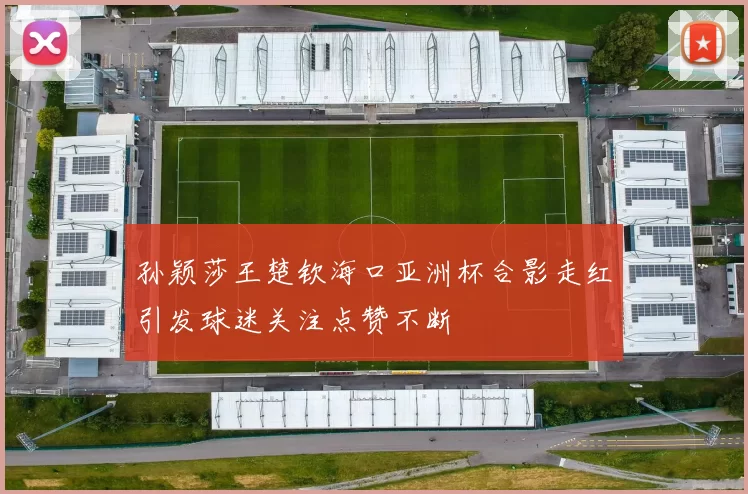 孙颖莎王楚钦海口亚洲杯合影走红引发球迷关注点赞不断