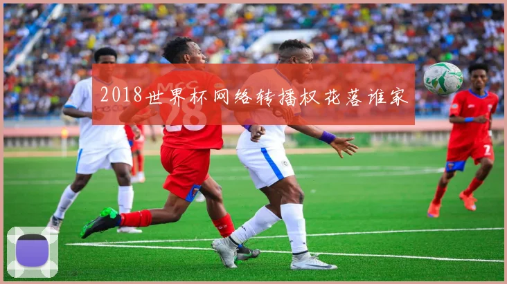 2018世界杯网络转播权花落谁家