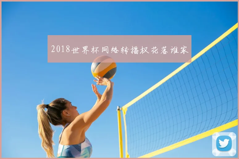 2018世界杯网络转播权花落谁家